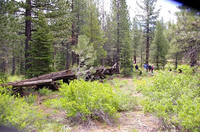 Group in Forest looking at old trestle