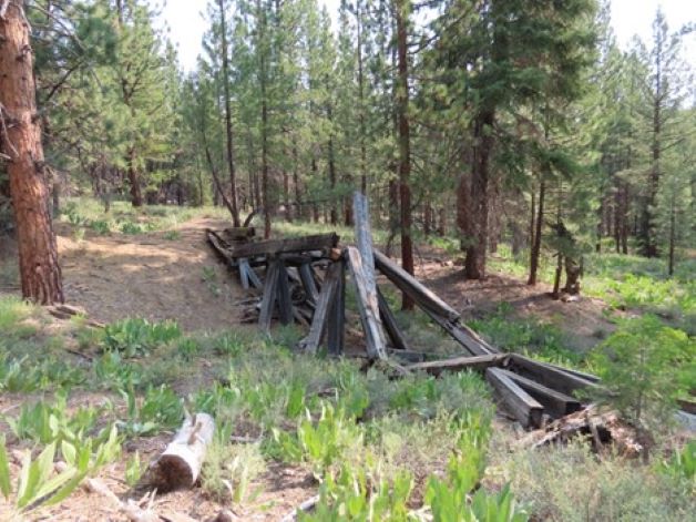 Remains of a Hobart Estate narrow-gauge trestle, north of Truckee