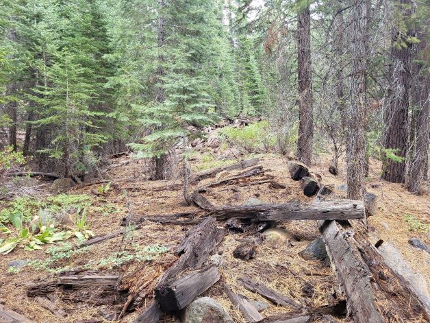 Remains of a B&L trestle near Sardine Valley