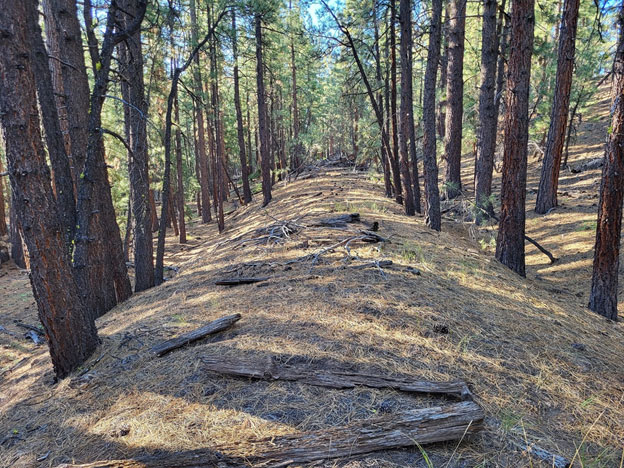 Remains of a Hobart Estate trestle, north of Truckee