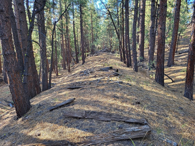 Verdi Lumber railroad grade near Dog Valley